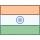 Indian National Flag Icon